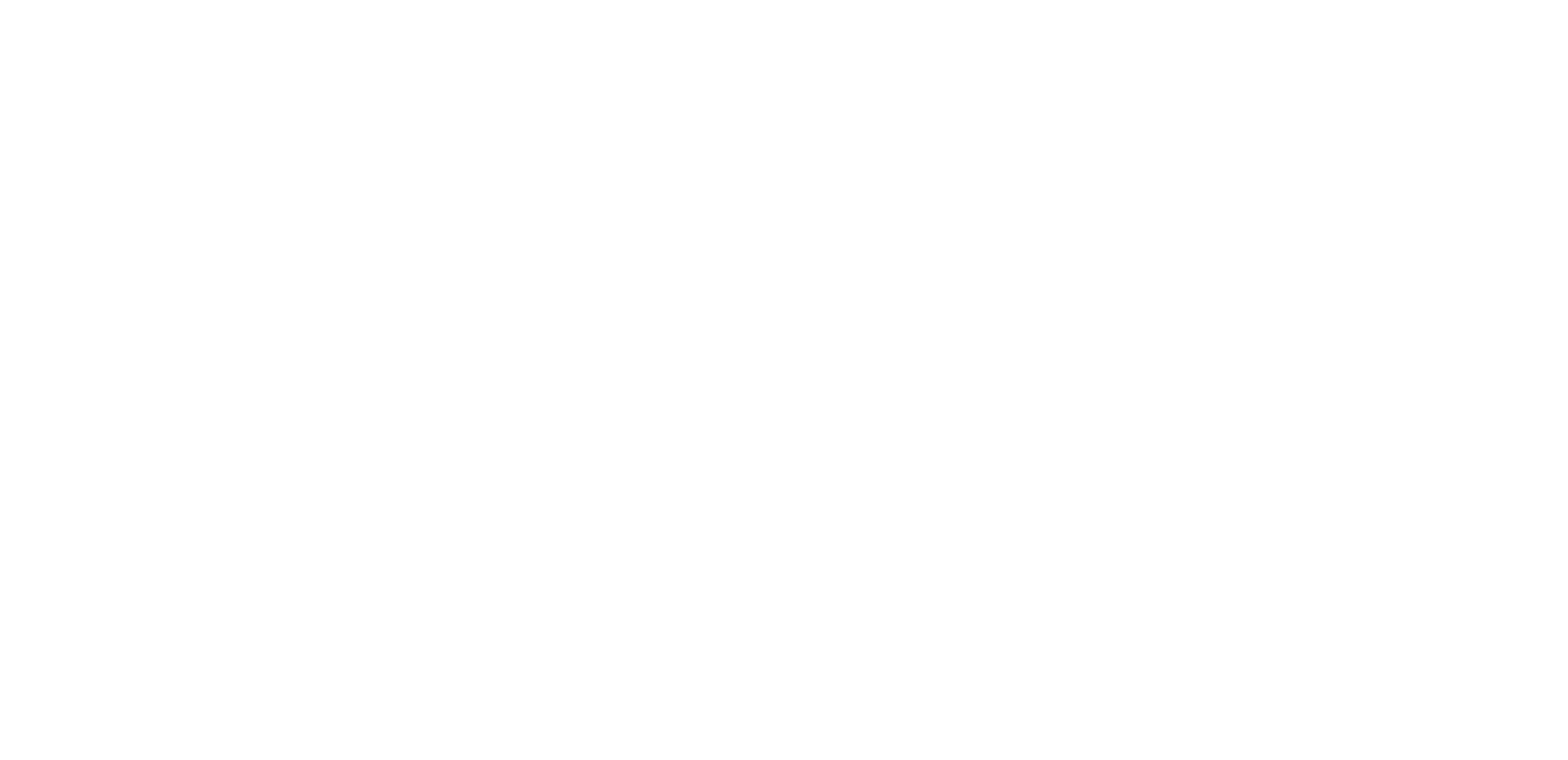 White - VG Logo